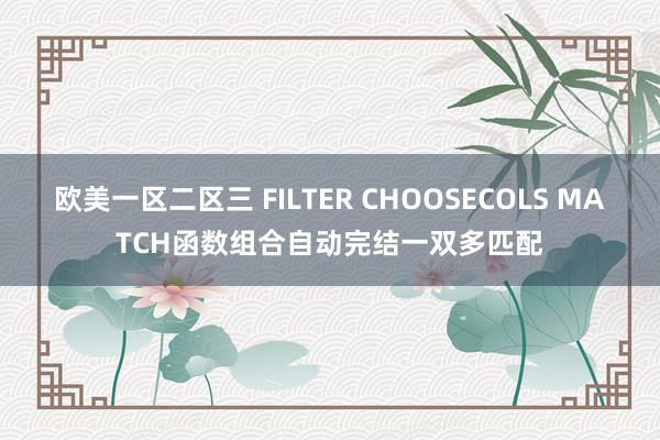 欧美一区二区三 FILTER CHOOSECOLS MATCH函数组合自动完结一双多匹配