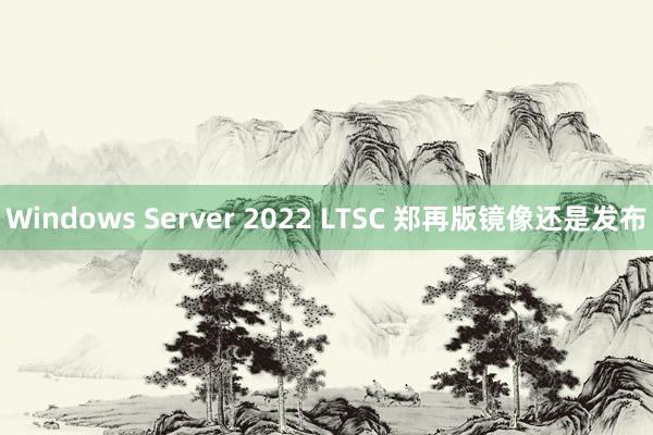 Windows Server 2022 LTSC 郑再版镜像还是发布